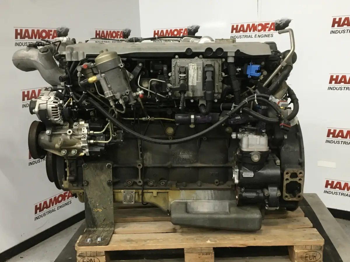 GEDEELDE MAN D2066-LOH01 MOTOR - Afbeelding 2