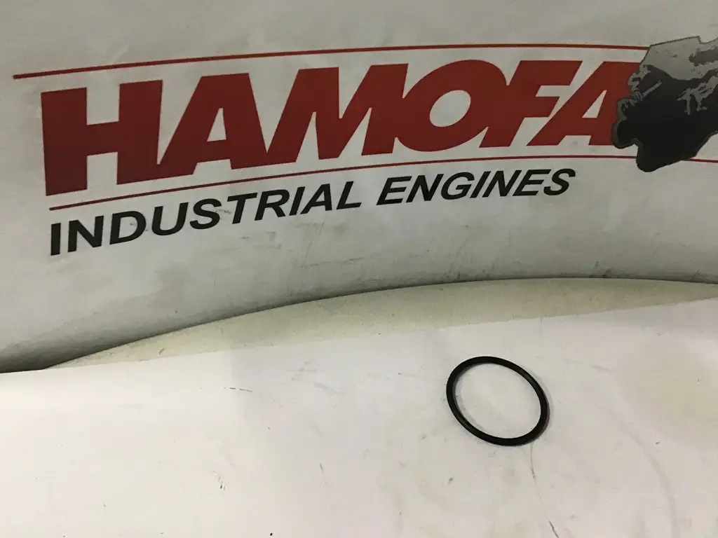 IPD SEAL, O-RING 1079570 NEW
