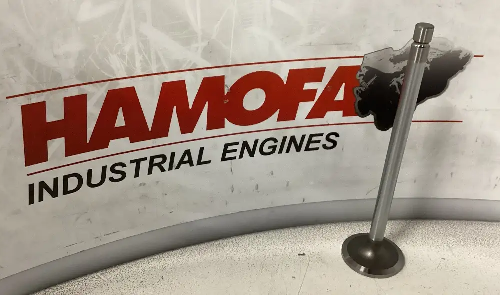 OE GERMANY INTAKE VALVE 06 0520 XF1052 NEW