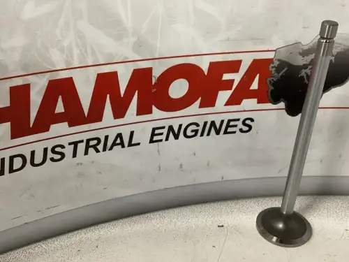OE GERMANY INTAKE VALVE 06 0520 XF1052 NEW