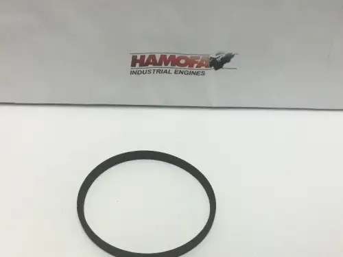 STEYR PLATTE O-RING 161200070701 NEW