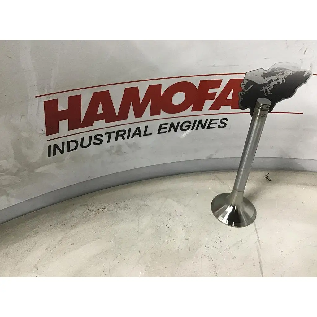 TRW EXHAUST VALVE 25238 NEW