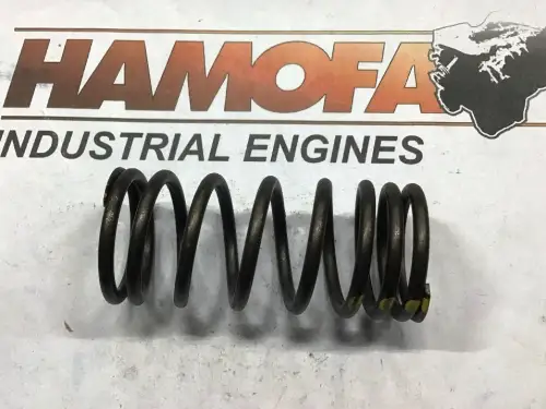OE GERMANY VALVE SPRING, EXHAUST, INNER 02 0523 250001 NEW