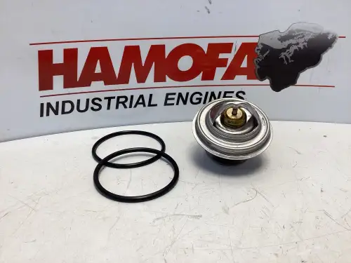 MAHLE THERMOSTAT TX 18 79D NEW