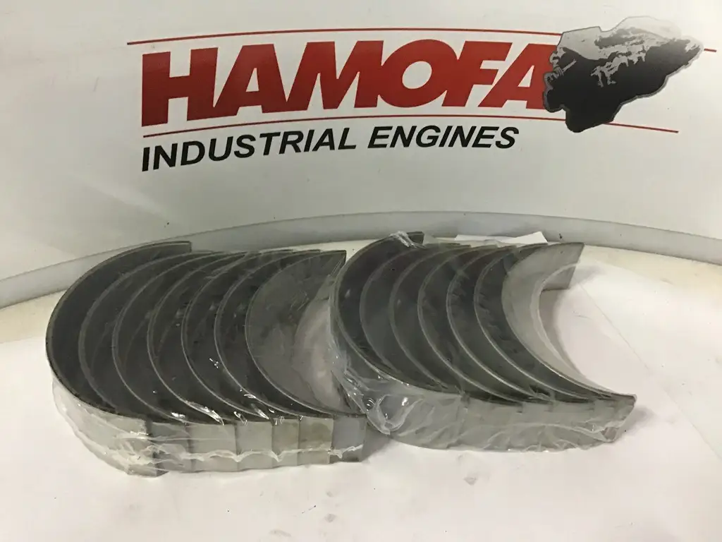 MAHLE HOOFDLAGERSET OP 0,25mm OVERMAAT 061 HS 10008 025 NEW