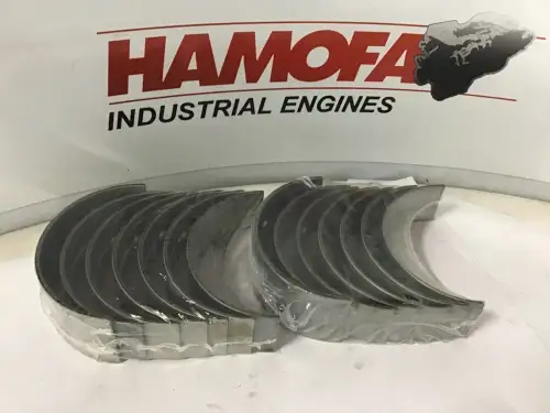 MAHLE HOOFDLAGERSET OP 0,25mm OVERMAAT 061 HS 10008 025 NEW