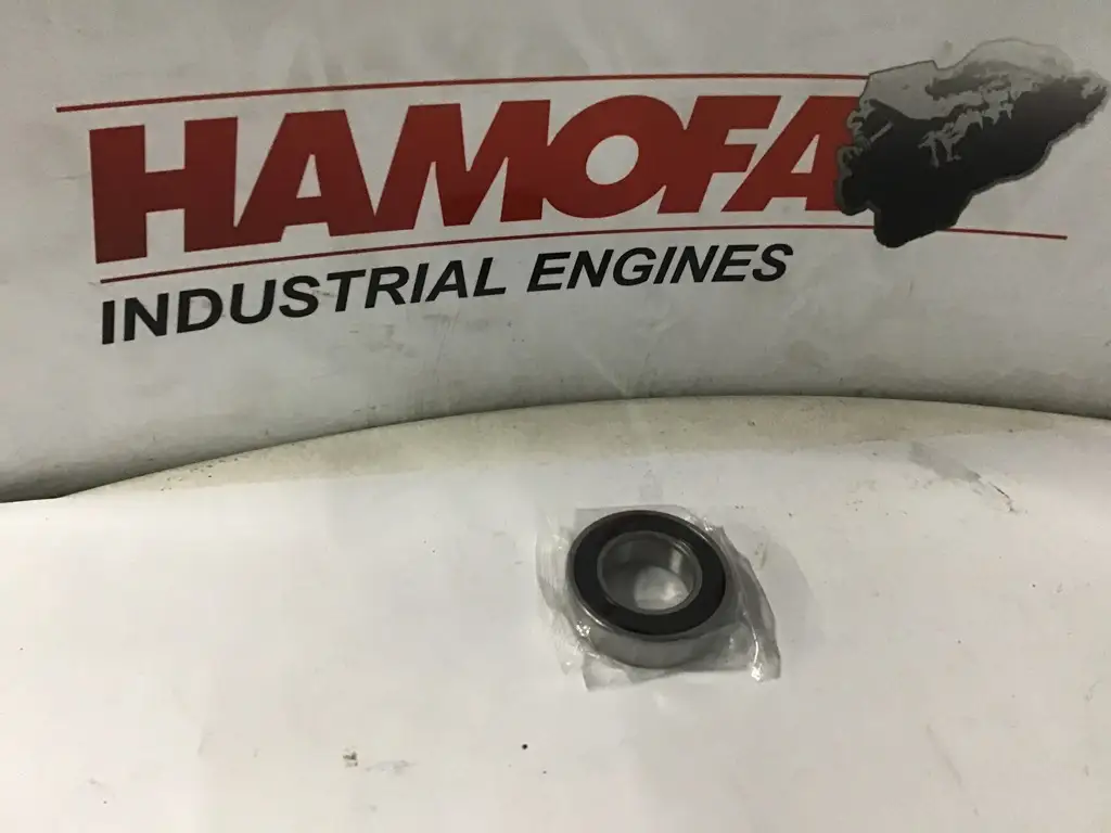 SKF RODAMIENTO DE BOLAS 6005-2RS-C3 NUEVO