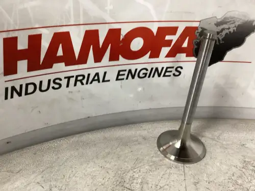 MAN INTAKE VALVE 51.04101-0375 NEW