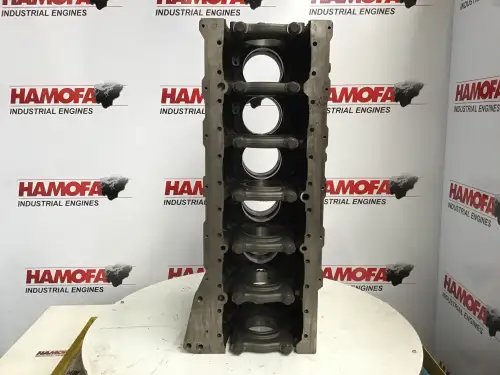 BLOQUE MOTOR VOLVO (CÓPIA) 10020351928 USADO - Imagen miniatura 5